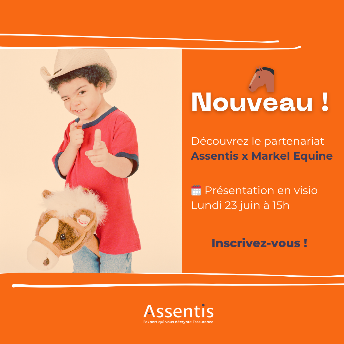 Présentation Markel Equine